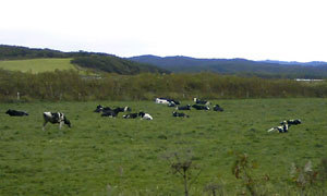 090921_091415.jpg